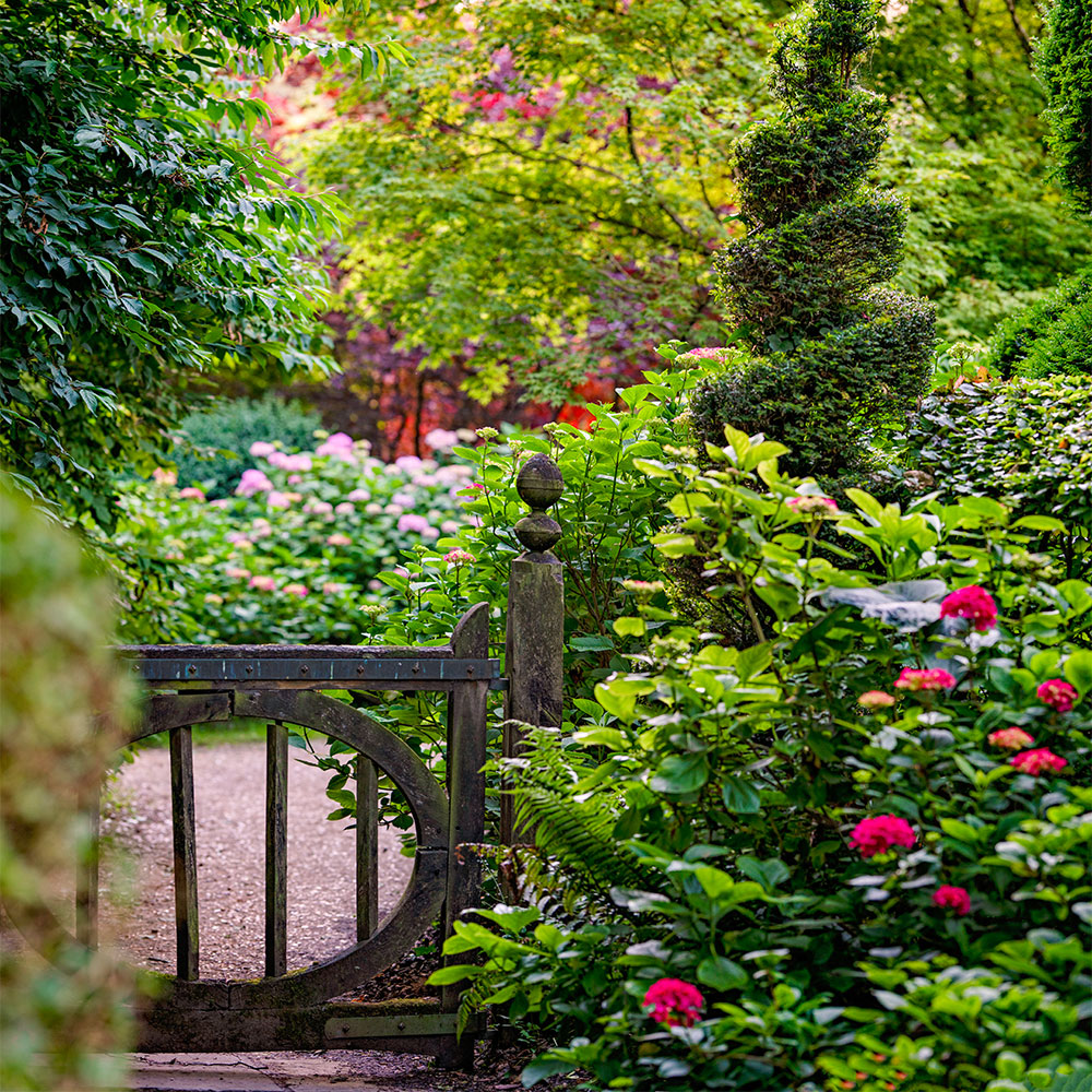 Image Carlton Davis image beautiful image beautiful image beautiful image beautiful image beautiful image beautiful image beautiful - Champagne Afternoon Tea | Garden Tour | Highgrove Shop & Gardens