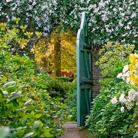 Highgrove Garden Tour with Two-Course Lunch