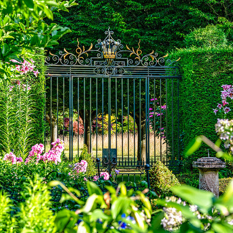 Private Champagne Tea and Garden Tour