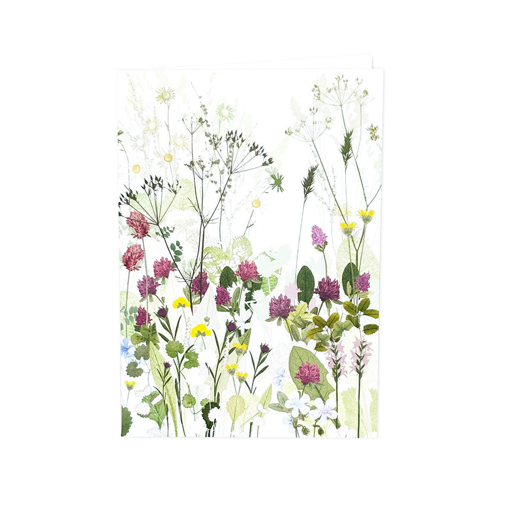 Highgrove Wildflower Meadow Clover and Cow Parsley Greeting Card ...