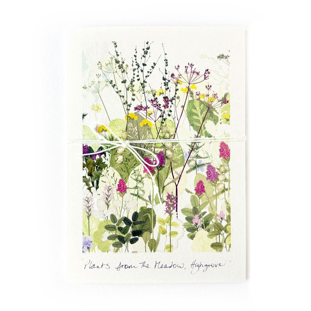 Highgrove Wildflower Meadow Concertina Card