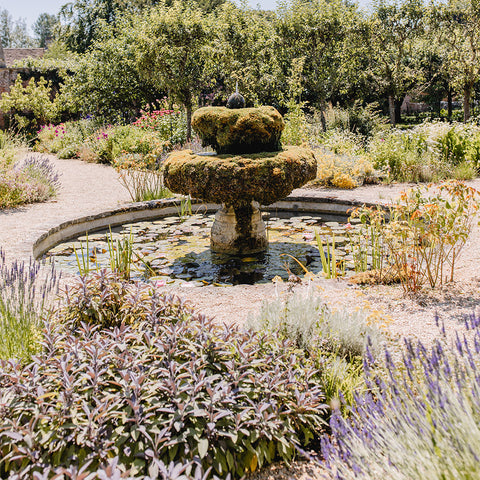 Herbs at Highgrove Tour