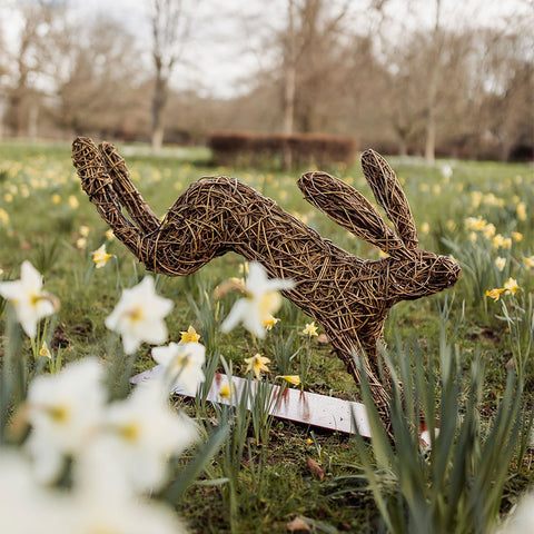 **Sold Out** 'Mad March Hare' Willow Weaving Workshop 2025 (One-Day)