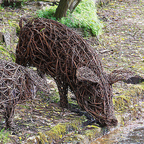 **Sold Out** Pig Willow Weaving Workshop 2025 (One-Day)