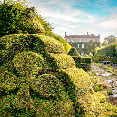 **Coming Soon** Topiary Garden Tour